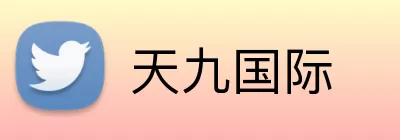 天九国际 logo